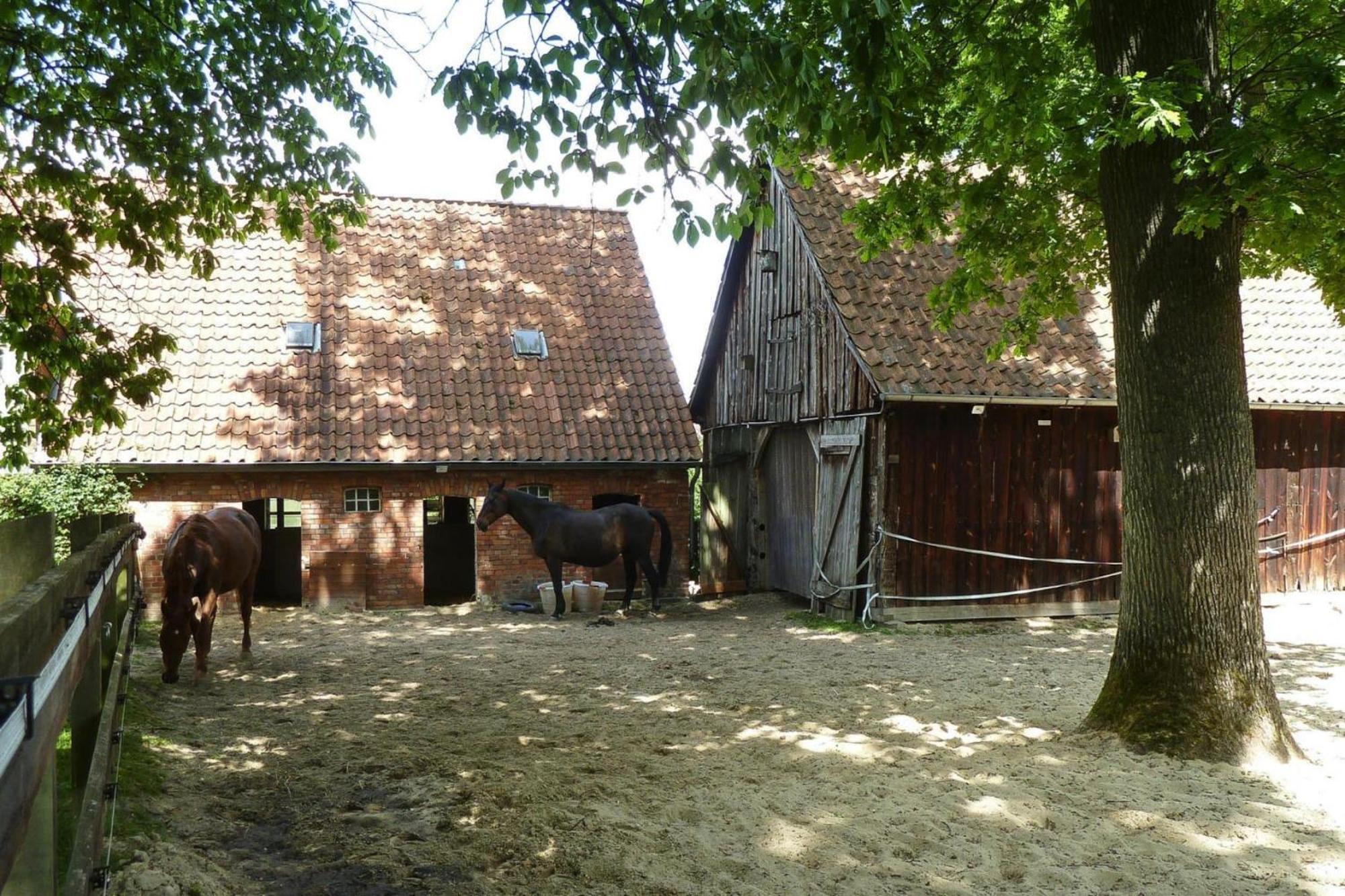 Ferienwohnung In Dorfmark Exterior foto