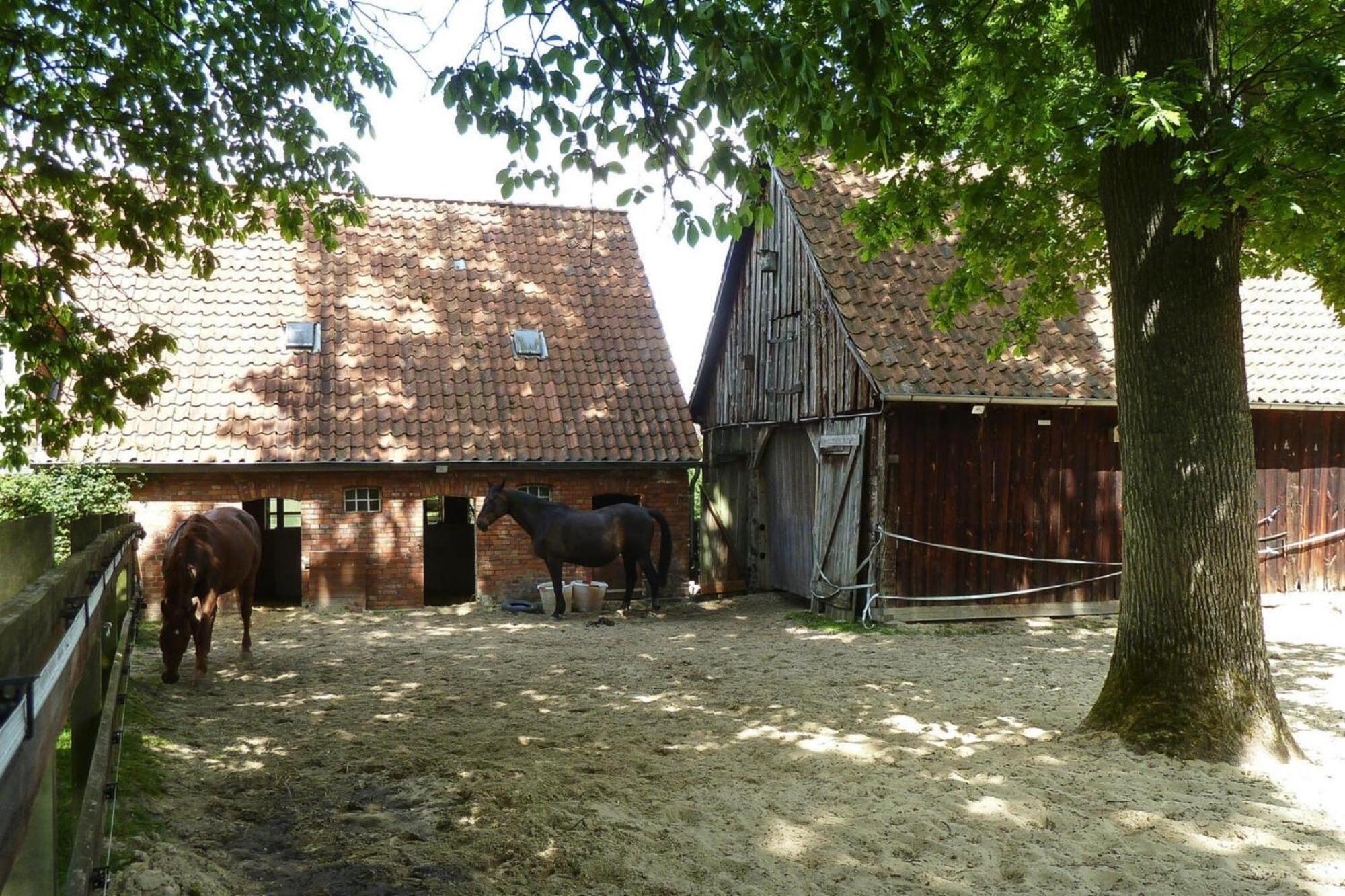 Ferienwohnung In Dorfmark Exterior foto